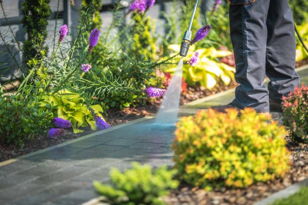Best Dumpster Area Cleaning  in Rosedale, CA