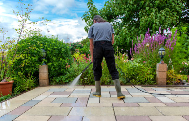 Best Animal Enclosure Cleaning  in Rosedale, CA
